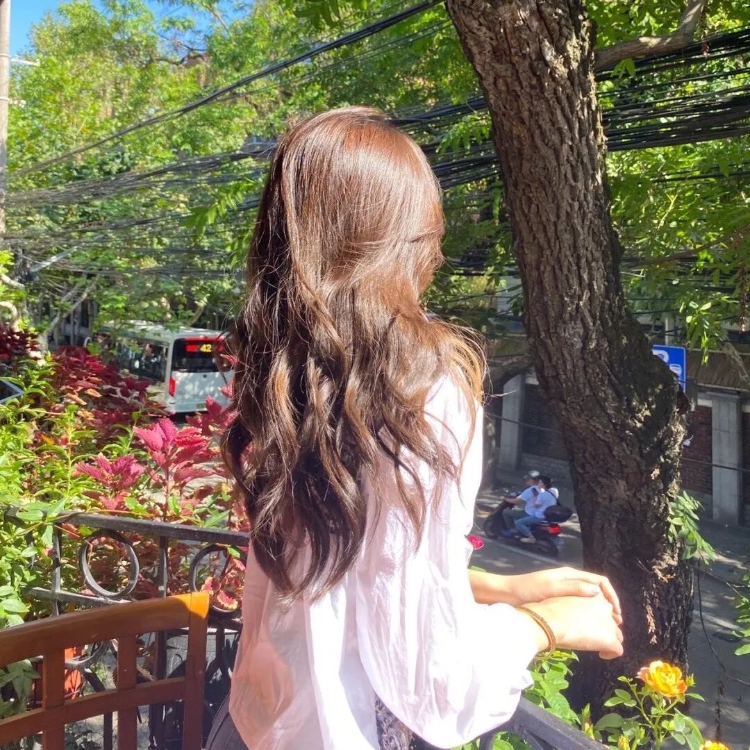 布希妈妈